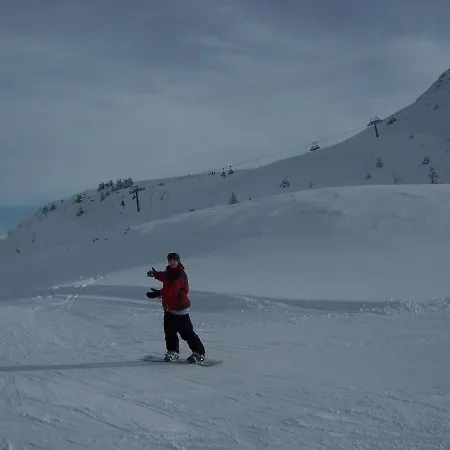 Tschengla Apartment Bürserberg