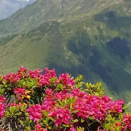 Tschengla Apartment *