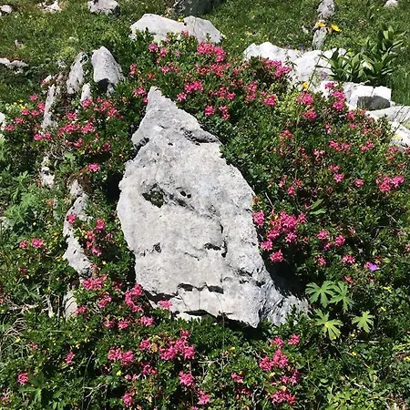 Apartment Tschengla Bürserberg